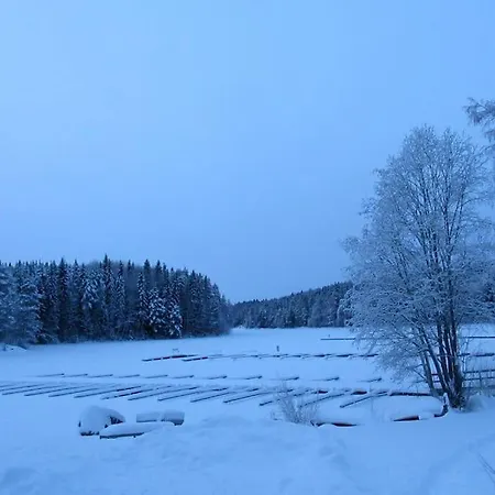 Tampere, , Naesijaerven Rannalla * Teisko
