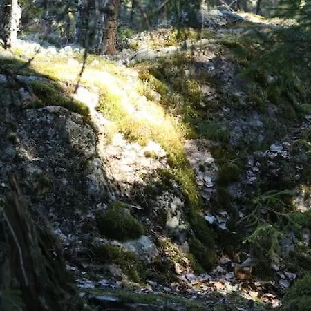 Apartman Tampere, , Naesijaerven Rannalla